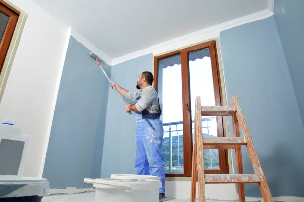 Best Repainting for Renovations  in Somerset, WI