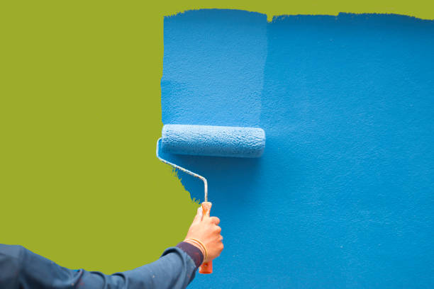 Best Wall Texturing and Painting  in Somerset, WI